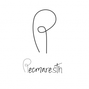 Logo Recmaresth https://www.heartista.es/